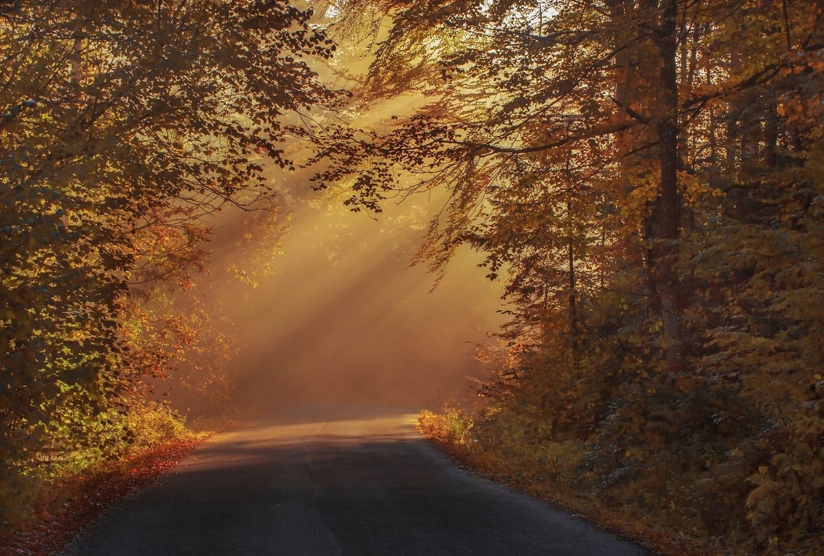 visit goa, uttarakhand and this place once you get older