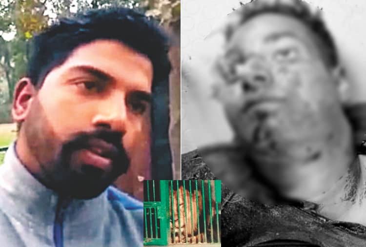 Chhatbir Zoo Incident, Man Identified Killed by Lion Safari