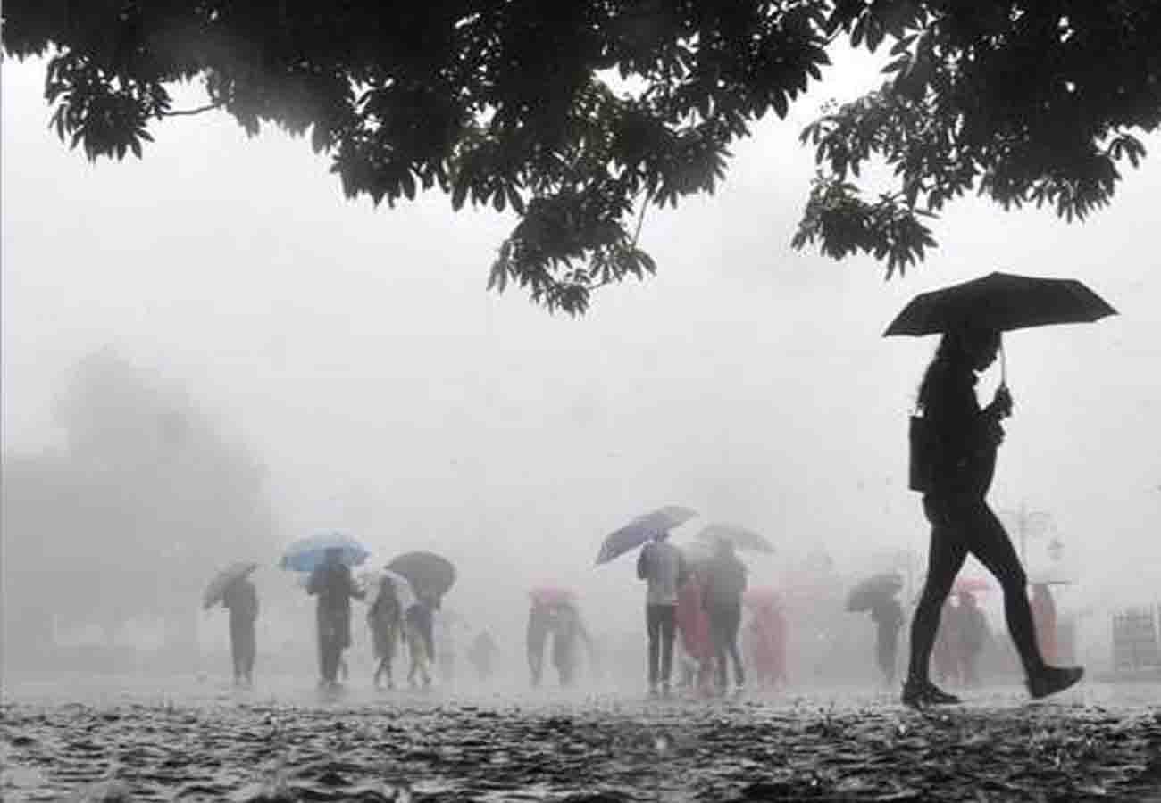 Meteorological Department warns of rain in these cities of up