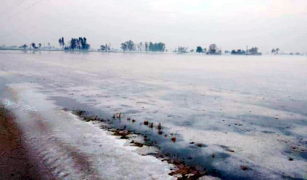 hailstone in many vilages of Sangrur of Punjab