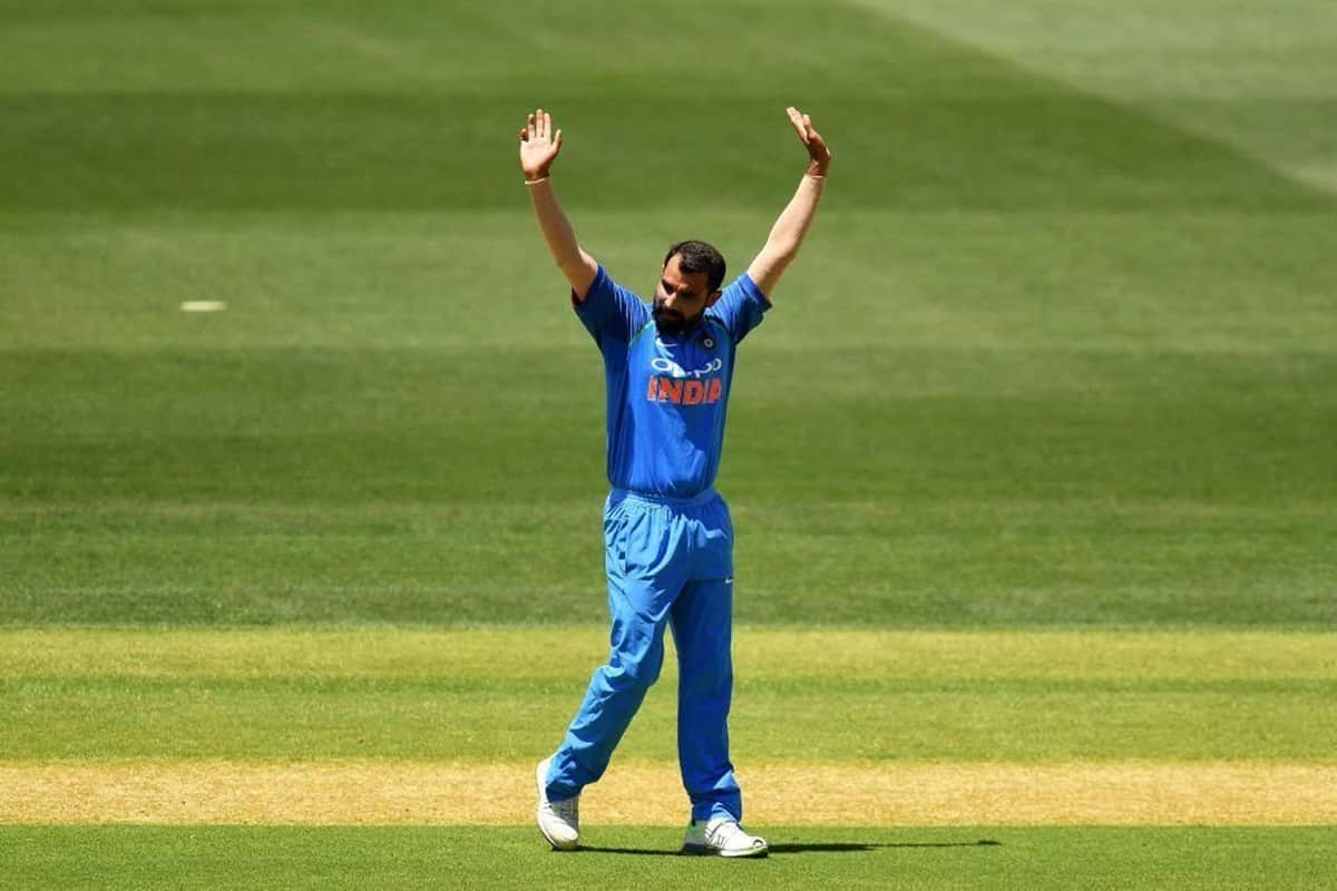 india vs new zealand: Mohammed Shami tremendous performance at napier  