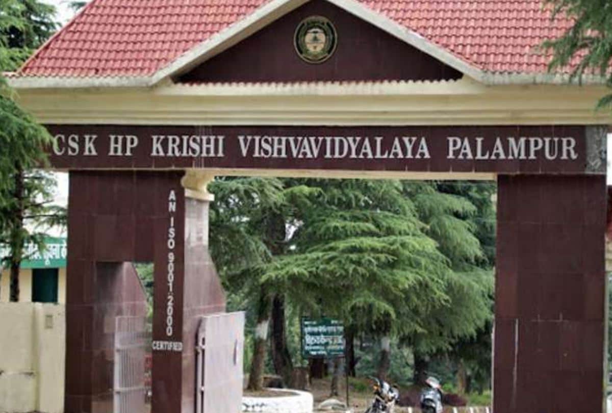 HP Cabinet Decisions today 2022, Pensioners will get allowance, big decision on outsource policy, revised pay