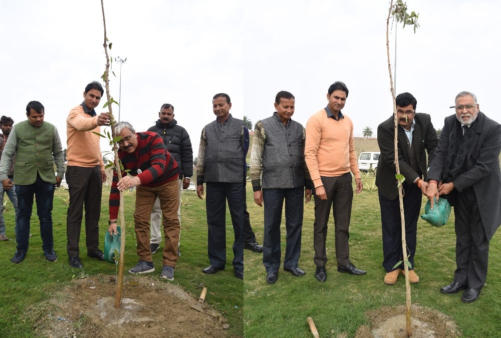 tree plantation on rashtriya balika diwas by amar ujala.