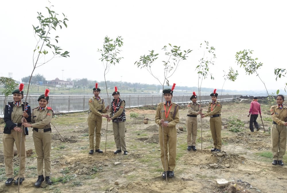 tree plantation on rashtriya balika diwas by amar ujala.