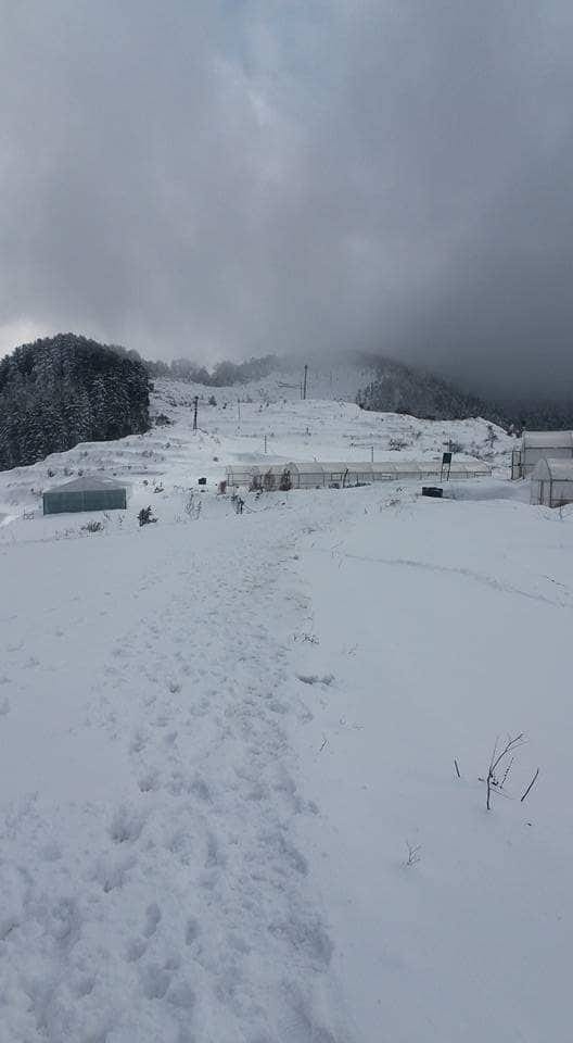 bitter cold in uttarakhand due to heavy snowfall and rain