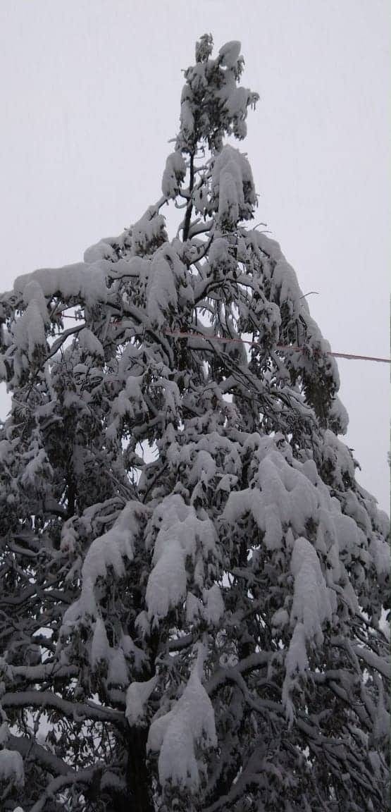 bitter cold in uttarakhand due to heavy snowfall and rain