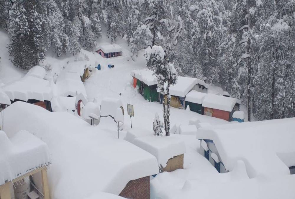 Snowfall Beautiful photos in Mini switzerland chopta uttarakhand