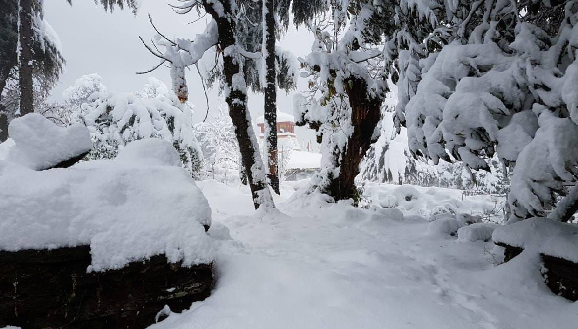 Snowfall Beautiful photos in Mini switzerland chopta uttarakhand