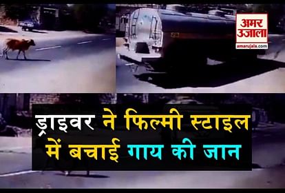 डिजाइन पिक्चर