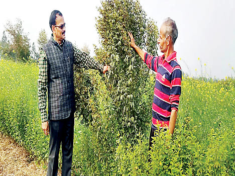 Scientist farming tips for farmers