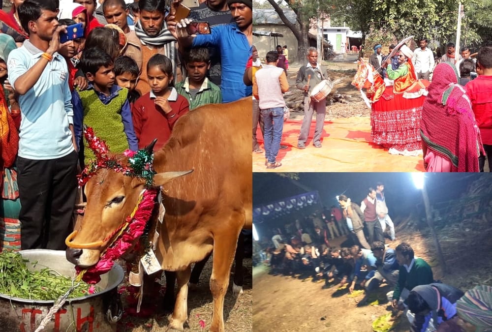 celebration on the birth of a calf.