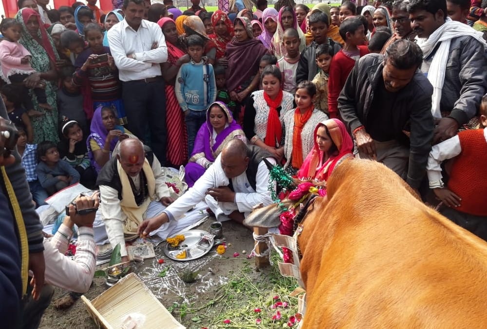 celebration on the birth of a calf.
