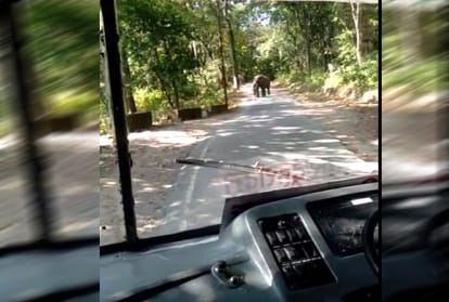 Angry elephant attack on bus full of passengers on ram nagar highway