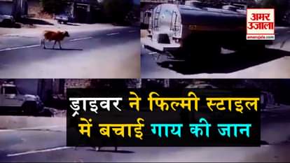 viral videos of the day