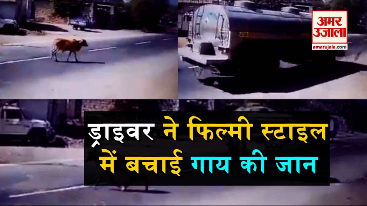 डिजाइन पिक्चर