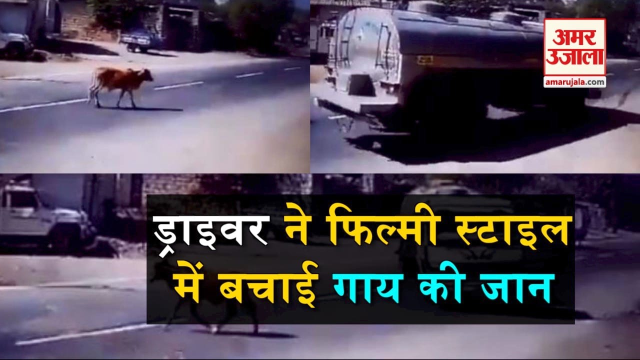 डिजाइन पिक्चर