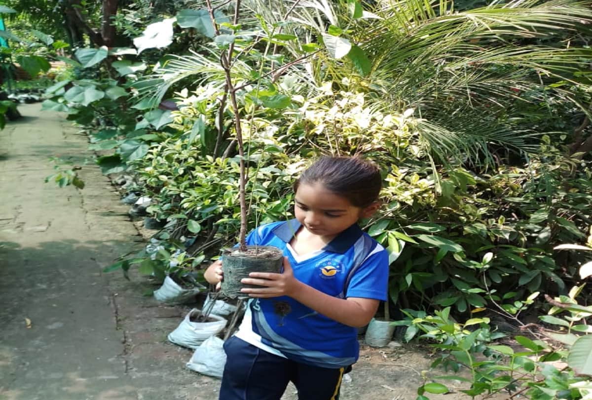 International women day Eiha Dixit is doing a good job for environment in Meerut