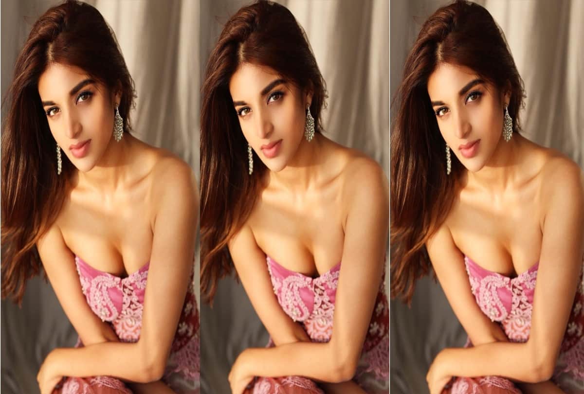 Nidhi agarwal hot and sizzling photos viral on social media