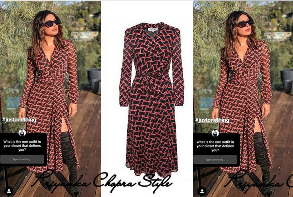 Know the Cost of Priyana Chopra Dog's Jacket
