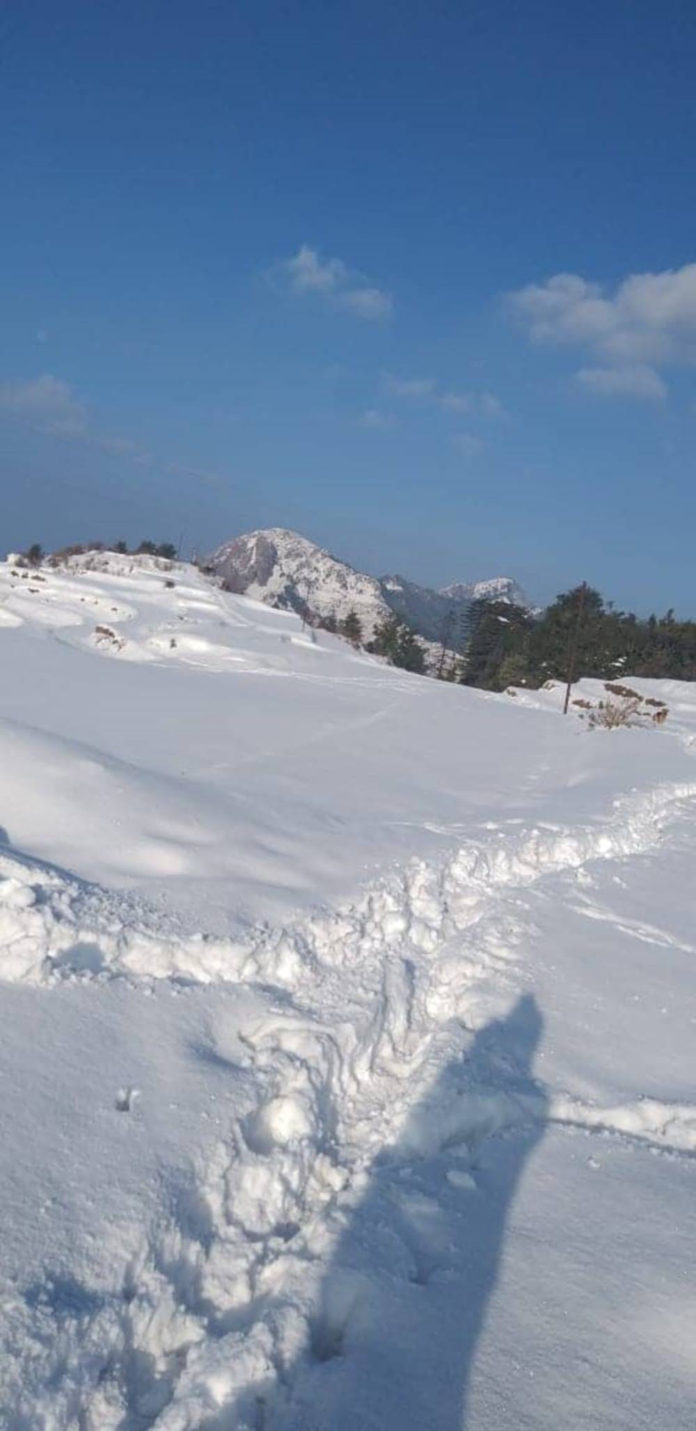 uttarakhand hilly area get relief from cold and snowfall after three days