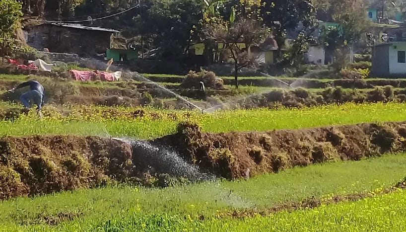 hirsty thirsty fields of 300 drains
