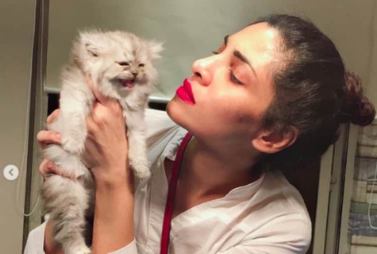 after salman khan here a pakistan tv actress model images looks like priyanka chopra