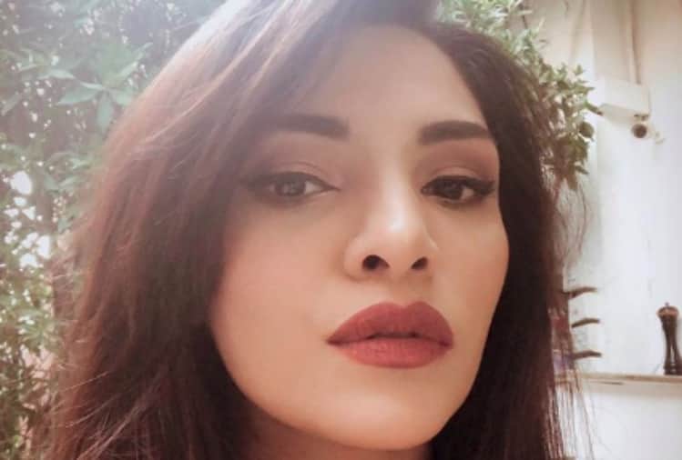 after salman khan here a pakistan tv actress model images looks like priyanka chopra