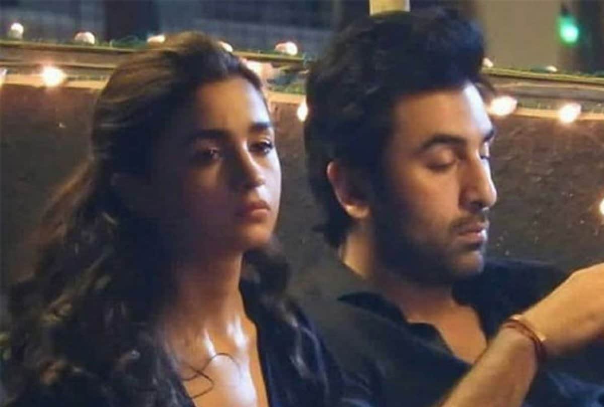 Alia Bhatt will seen in Karan Johar film dostana 2