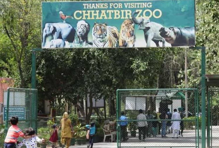 CCTV Camera in Chhatbir Zoo Zirakpur for security of visitors and animals