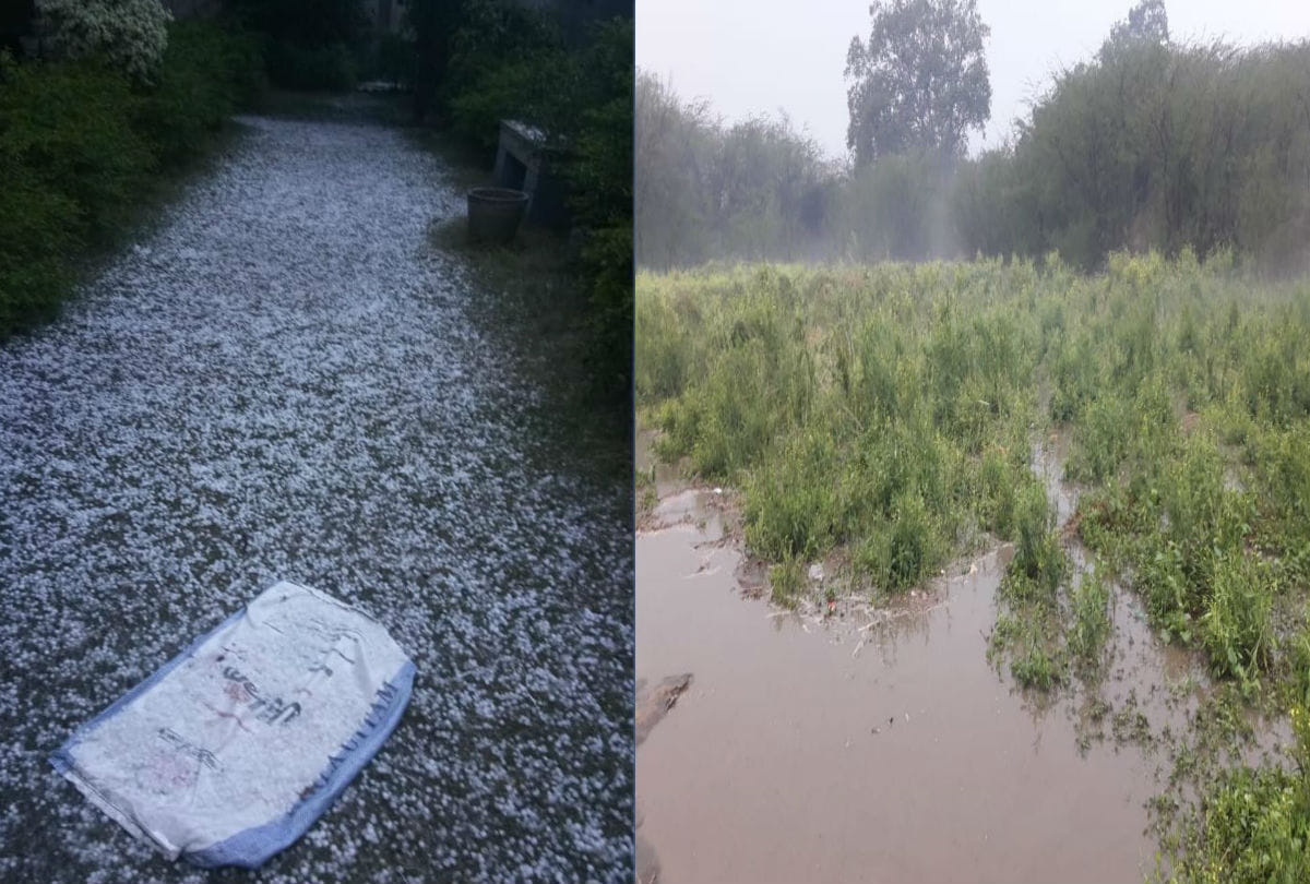weather change hail falls with rain in Agra zone