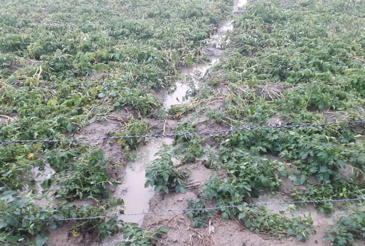 weather change hail falls with rain in Agra zone