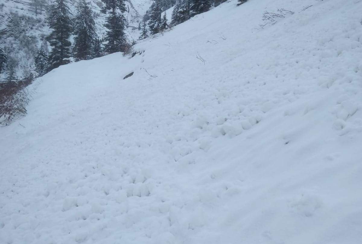 Himachal Pradesh Fresh Snowfall in Shimla Kullu Manali Chamba Mandi Sirmour