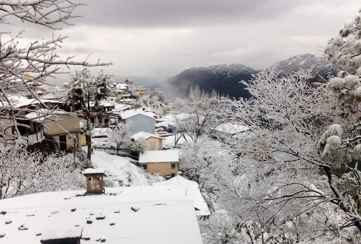Himachal Pradesh Fresh Snowfall in Shimla Kullu Manali Chamba Mandi Sirmour