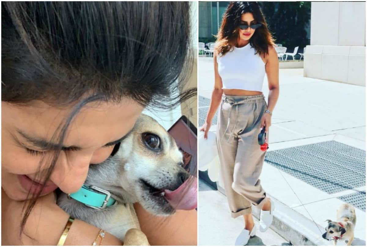 After Jacket Priyanka Chopra buy Diana new travel home worth 2 lakh rupees