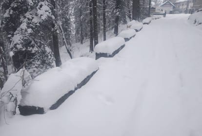 sufficient  snowfall in January for the sixth time in 18 years in himachal