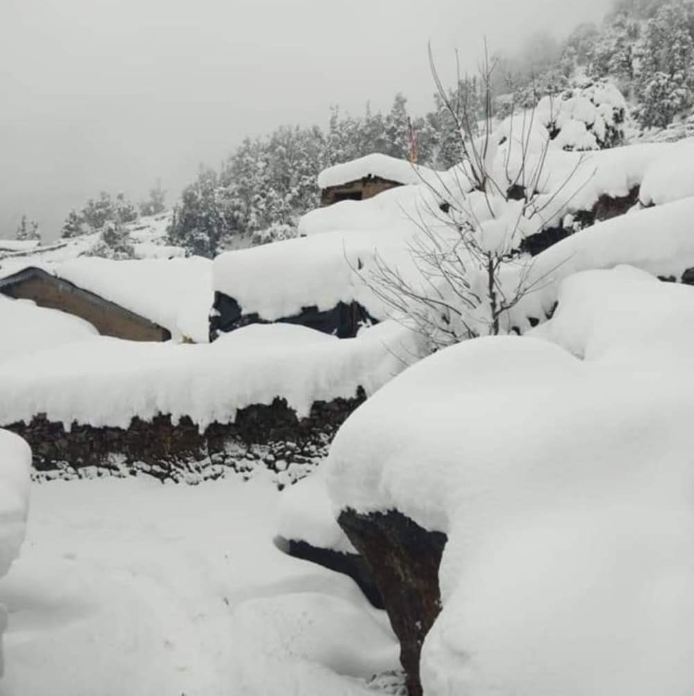 Monk unconscious to see snowfall