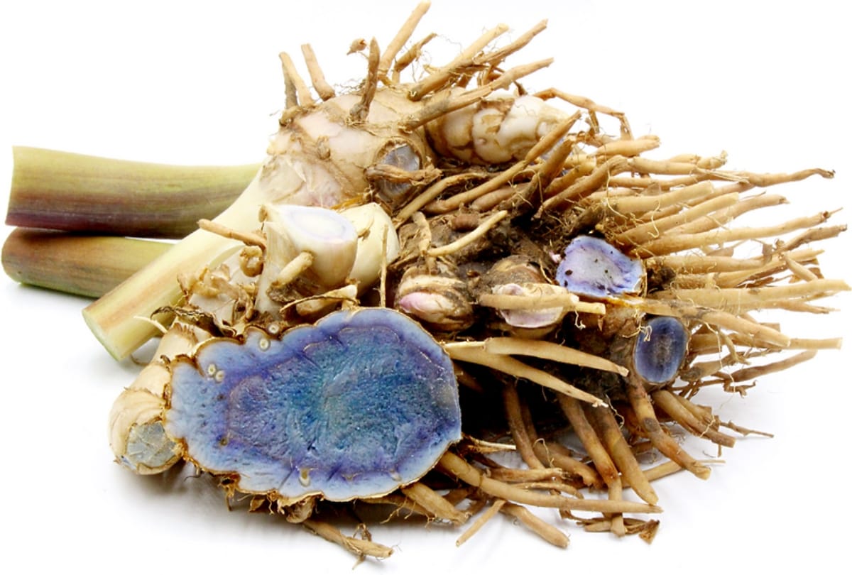 astrology tips Take easy solution of black turmeric for getting money and to grow in business