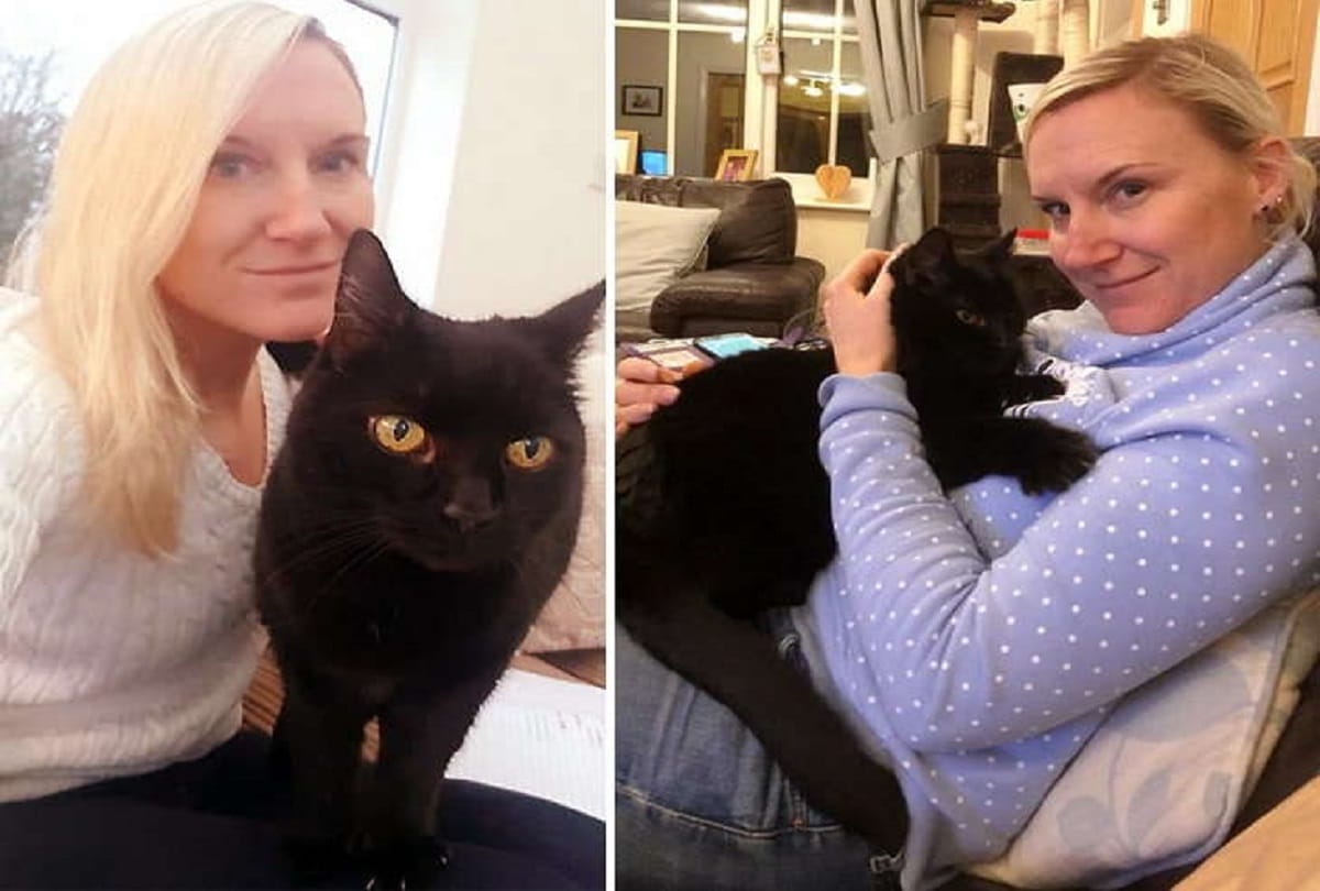 cat reunited with family 10 years after going missing