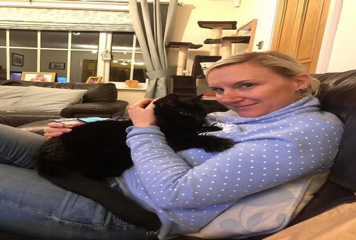 cat reunited with family 10 years after going missing