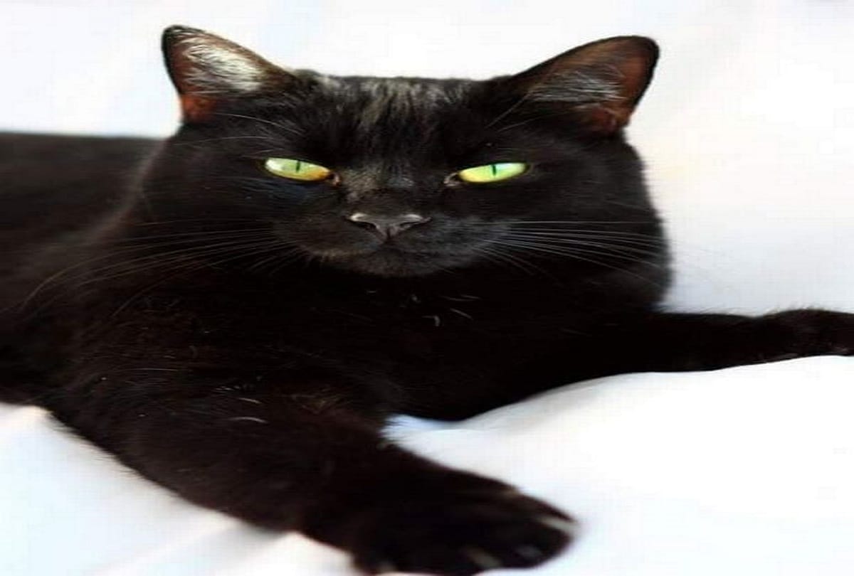 Find out the negative power in the house with these 10 things