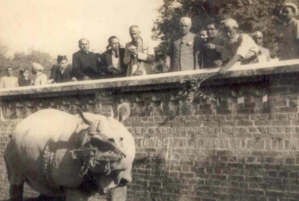 pics of old lucknow zoo.