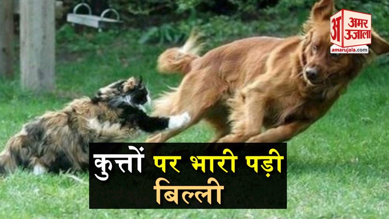 viral video
