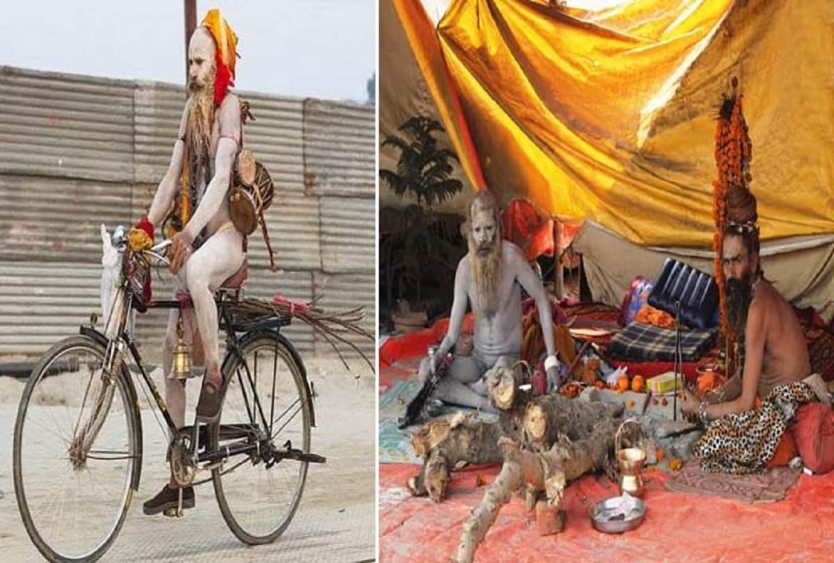 amazing kato wale baba is attracting people in Maha kumbh mela 2019