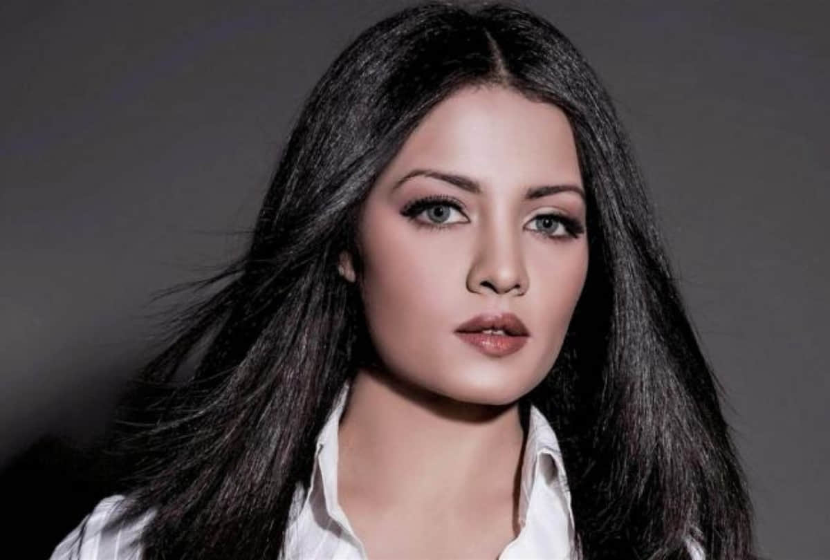 Celina Jaitly Birthday Special Know About Actress Career and Personal Life