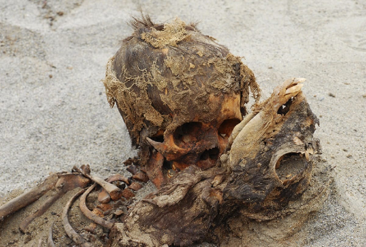 Ancient Mass Child Sacrifice Remains of many childrens found in peru
