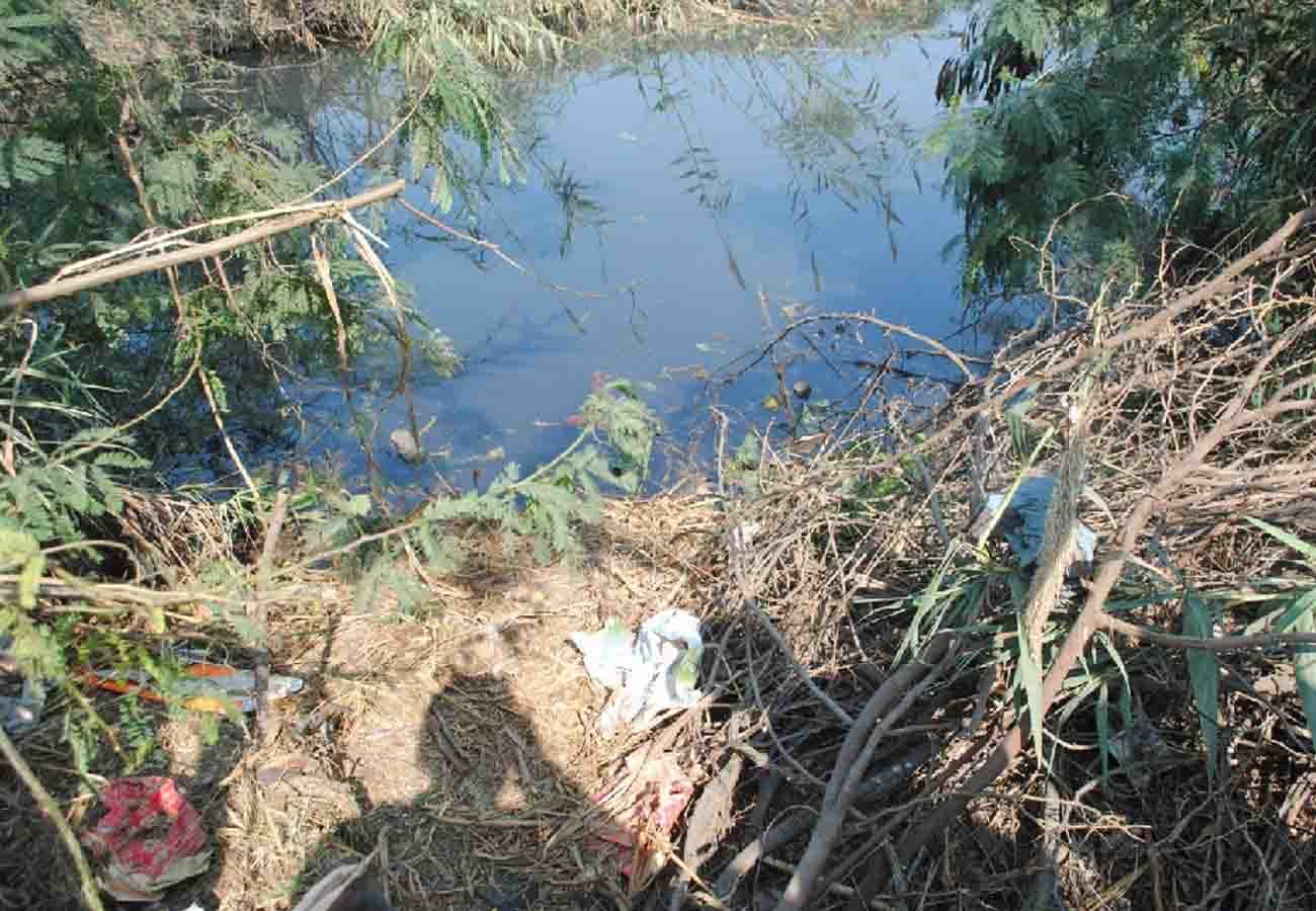 sister murder her younger sister in etawah