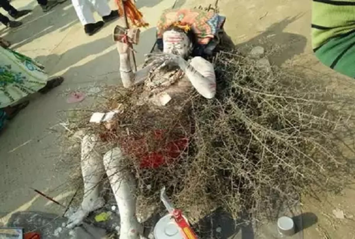 amazing kato wale baba is attracting people in Maha kumbh mela 2019