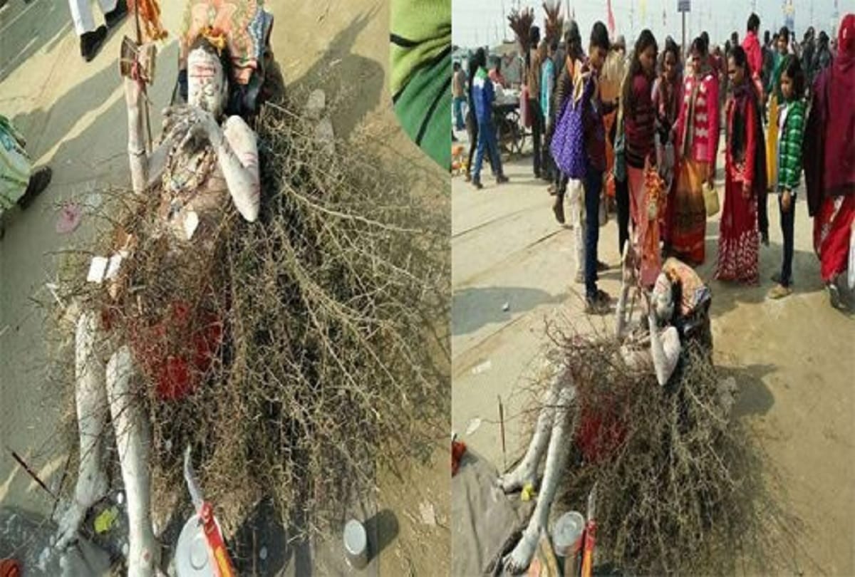 amazing kato wale baba is attracting people in Maha kumbh mela 2019