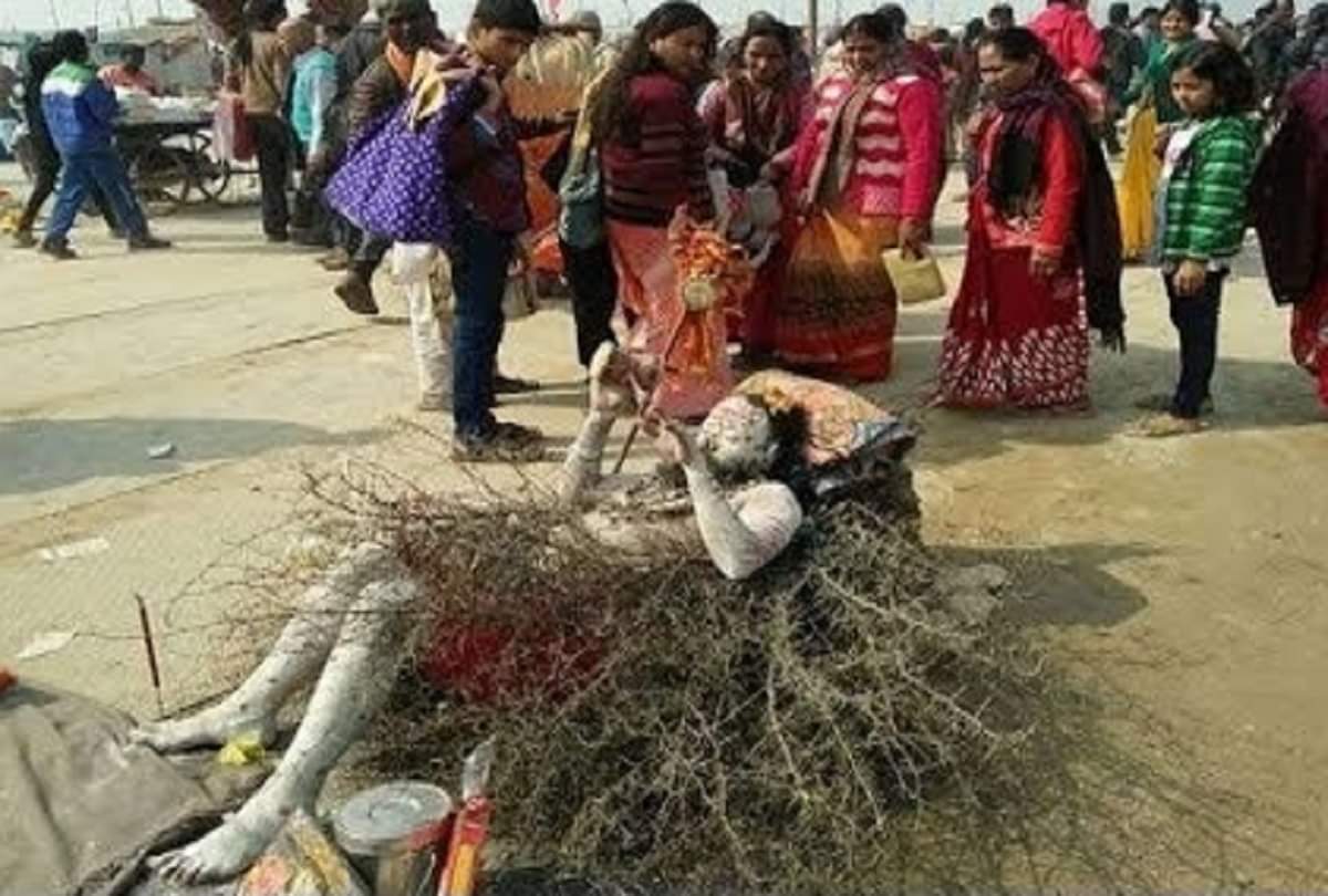 amazing kato wale baba is attracting people in Maha kumbh mela 2019