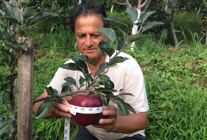 Shimla horticulturist Ram Lal Chauhan buy 1.5 crore Range Rover car